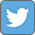 Twitter Link Icon